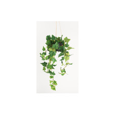 Botanic-Haus Kunstpflanze Efeu hängend 85 cm Botanic-Haus Kunstpflanze Efeu hängend 85 cm
