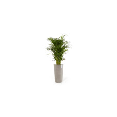Ecopots Blumentopf Amsterdam High Ø 76 cm Taupe