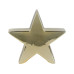 EGLO Aufsteller Stern Catacol 17.5 cm, Gold