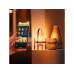 Philips Hue Leuchtmittel White Ambiance E27 Doppelpack 2 x 1100 lm