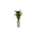 Ecopots Blumentopf Amsterdam High Ø 76 cm Taupe Ecopots Blumentopf Amsterdam High Ø 76 cm Taupe