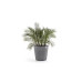 Ecopots Blumentopf Amsterdam Wheels Ø 60 cm Grey