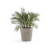 Ecopots Blumentopf Amsterdam Wheels Ø 60 cm Taupe Ecopots Blumentopf Amsterdam Wheels Ø 60 cm Taupe