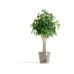 Ecopots Blumentopf Venice 2 Ø 40 cm Taupe Ecopots Blumentopf Venice 2 Ø 40 cm Taupe