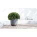 Ecopots Blumentopf Oslo Ø 65 cm Grau Ecopots Blumentopf Oslo Ø 65 cm Grau