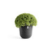 Ecopots Blumentopf Oslo Ø 65 cm Dunkelgrau Ecopots Blumentopf Oslo Ø 65 cm Dunkelgrau