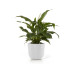 Ecopots Blumentopf Oslo Ø 45 cm Weiss Ecopots Blumentopf Oslo Ø 45 cm Weiss