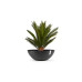 Ecopots Blumentopf Vienna Ø 70 cm Dunkelgrau