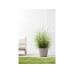 Ecopots Blumentopf Sankara Ø 40 cm Taupe Ecopots Blumentopf Sankara Ø 40 cm Taupe