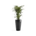 Ecopots Blumentopf Sankara High Ø 75 cm Dunkelgrau Ecopots Blumentopf Sankara High Ø 75 cm Dunkelgrau