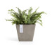 Ecopots Blumentopf Rotterdam Ø 20 cm Taupe