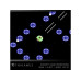 Blaze Evercade Thalamus Collection 1 (Box) Blaze Evercade Thalamus Collection 1 (Box)