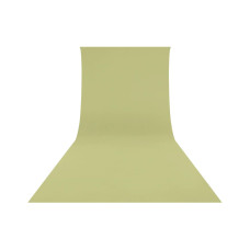 Westcott Hintergrund Faltenresistent 270 x 610 cm Light Moss Green Westcott Hintergrund Faltenresistent 270 x 610 cm Light Moss Green