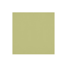 Westcott Hintergrund X-Drop Pro 244 x 244 cm Light Moss Green Westcott Hintergrund X-Drop Pro 244 x 244 cm Light Moss Green