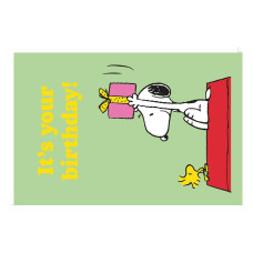 Braun + Company Geburtstagskarte Snoopy, 11.5 x 17 cm Braun + Company Geburtstagskarte Snoopy, 11.5 x 17 cm