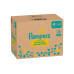 Pampers Windeln Premium Protection Maxi Grösse 4