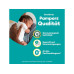 Pampers Windeln Baby Dry Junior Plus Grösse 5+ Pampers Windeln Baby Dry Junior Plus Grösse 5+