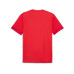 PUMA Jersey teamGOAL Matchday L, Rot