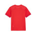 PUMA Jersey teamGOAL Matchday Jr 116, Rot