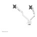NEOMOUNTS Monitorarm DS70-250WH2 bis 9 kg – Weiss