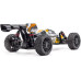 Hobbytech Buggy Rogue 2.0 Orange RTR 1:8