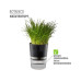 GEFU Kräutertopf Botanico Transparent/Schwarz/Silber GEFU Kräutertopf Botanico Transparent/Schwarz/Silber