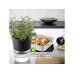 GEFU Kräutertopf Botanico Transparent/Schwarz/Silber GEFU Kräutertopf Botanico Transparent/Schwarz/Silber
