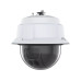 Axis Netzwerkkamera AXIS Q6086-E