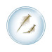Kosmos Experimentierkasten Saltwater Creature Multilingual