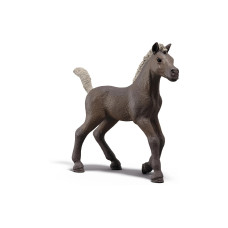 Schleich Sammelfohlen Darcy Schleich Sammelfohlen Darcy