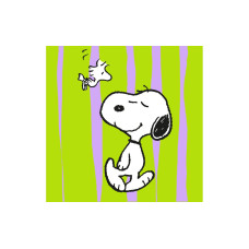 Braun + Company Snoopy Grün 20 Stück Braun + Company Snoopy Grün 20 Stück