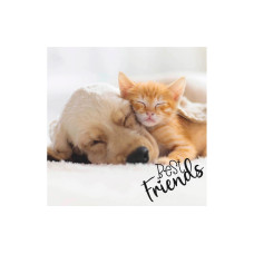Paper + Design Papierservietten Dog & Cat 33 cm x 33 cm, 20 Stück Paper + Design Papierservietten Dog & Cat 33 cm x 33 cm, 20 Stück