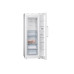 Siemens Gefrierschrank GS33NVWEP Rechts