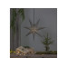 Star Trading LED-Stern Ozen Grau, 70 cm