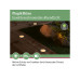 Paulmann Gartenspot Plug & Shine, Einzelleuchte, 10W, 2200K, Schwarz