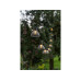 STT Lichterkette Solar Partylight Amela, 10 LEDs, 4.5 m, Smoke