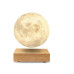 Gingko LED Stimmungslicht Smart Moon Braun Gingko LED Stimmungslicht Smart Moon Braun