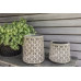 STT Windlicht Solar Antic Mini S Grafic Hellbeige STT Windlicht Solar Antic Mini S Grafic Hellbeige