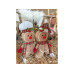 Dameco Weihnachtsfigur Lebkuchenmännchen sitzend 2er-Set