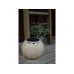 STT Solar Antic Globe Verana Creme STT Solar Antic Globe Verana Creme