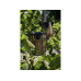 STT Laterne Solar Element Light Schwarz