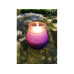 Dameco Citronella Kerze 198 g