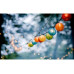 Dameco LED Solar Lichterkette mit farbigen Nylon Balls