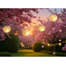 Dameco LED Solar Lichterkette mit 10 weissen Nylon Balls