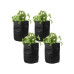 STRUCT Pflanzentasche 4er Set, Filz, Schwarz STRUCT Pflanzentasche 4er Set, Filz, Schwarz