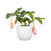 scheurich Blumentopf Nova Chalk White, 24 cm