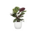 scheurich Blumentopf Nova Chalk White, 27 cm scheurich Blumentopf Nova Chalk White, 27 cm