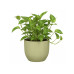 scheurich Blumentopf Nova Gentle Green, 27 cm