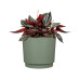 scheurich Blumentopf Plano Matt Sage, 25 cm