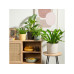 scheurich Blumentopf Plano Avorio, 29 cm